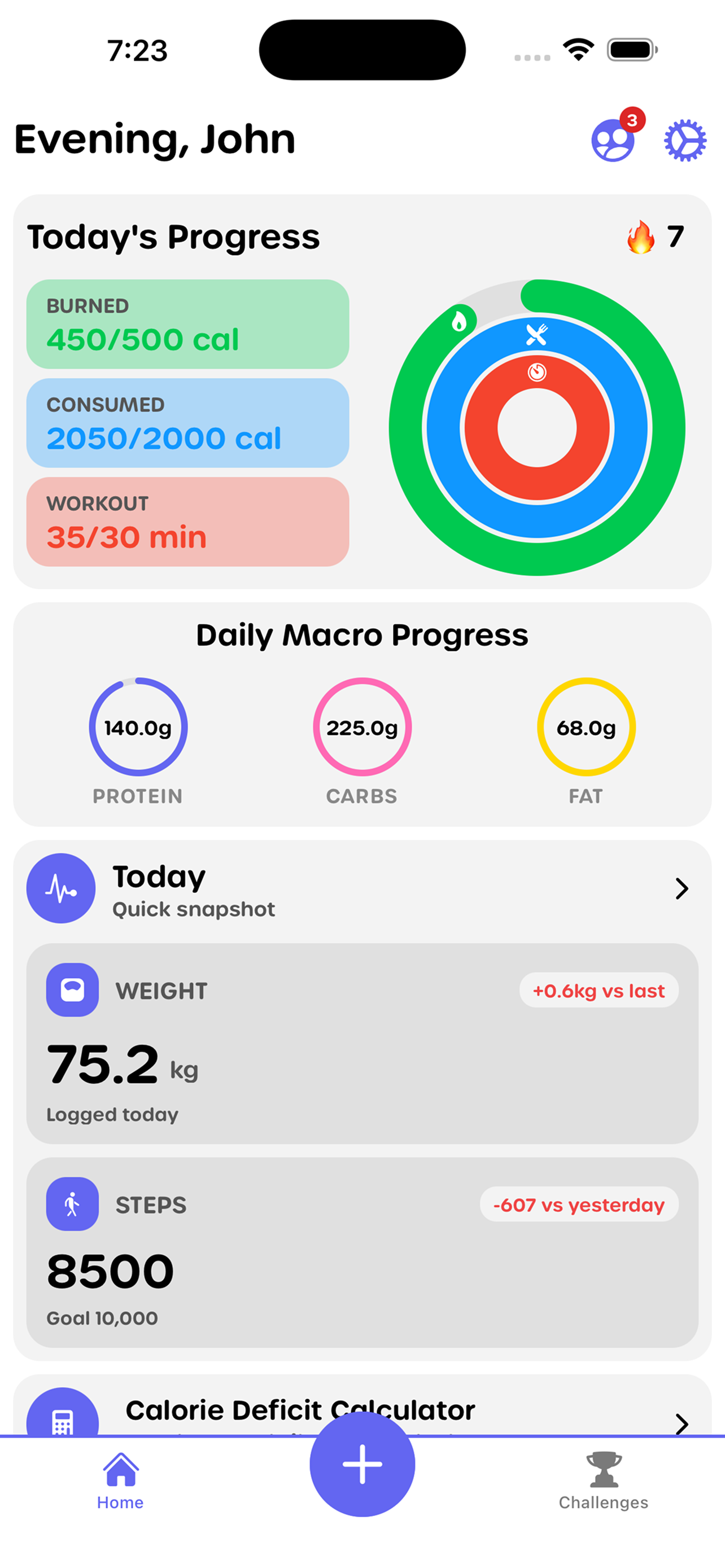 Fitness tracking dashboard showing workout progress